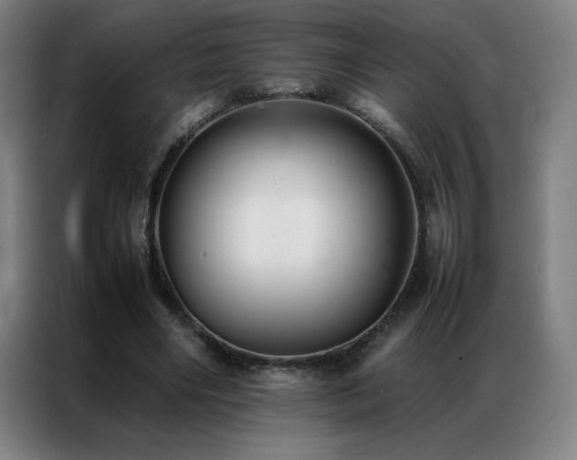 X0000087330490200704201130