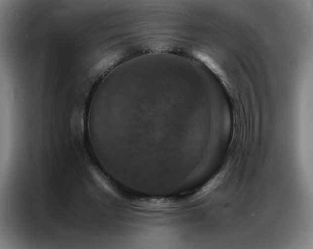 X0000087330493200704201130