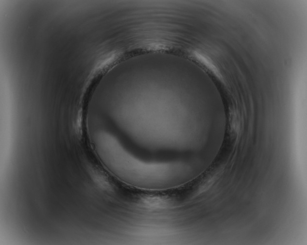 X0000087330494200704201130