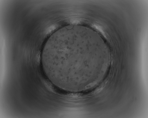 X0000087330495200704201130