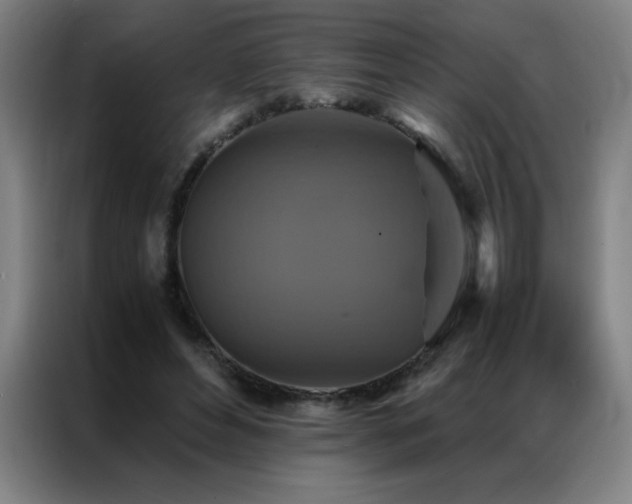 X0000087330496200704201130