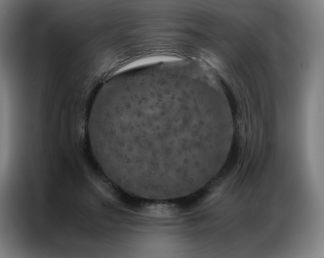 X0000087330499200704201130