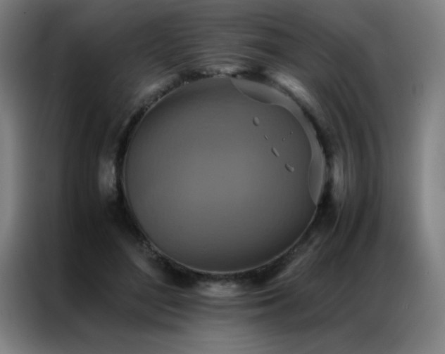 X0000087330500200704201130