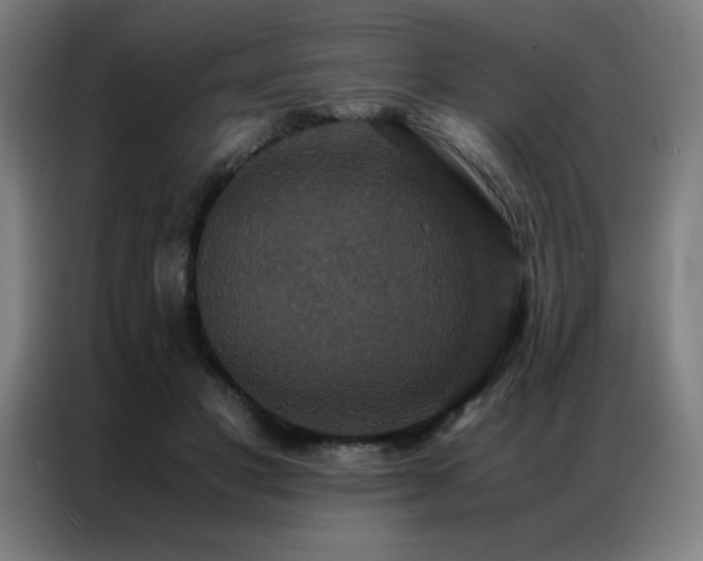 X0000087330501200704201130