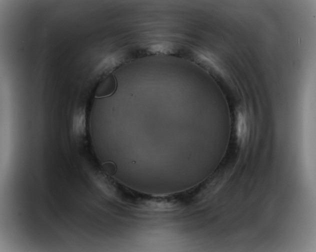 X0000087330502200704201130