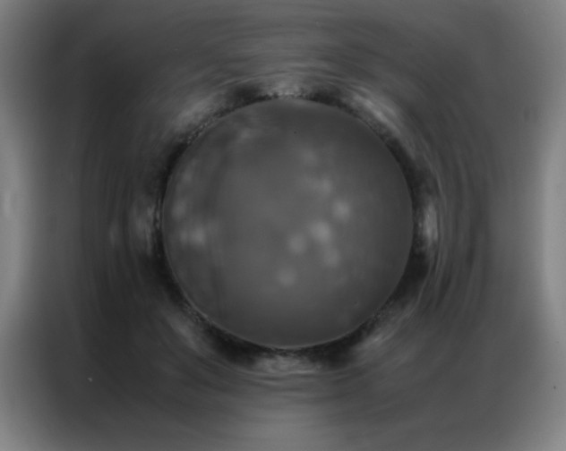 X0000087330503200704201130