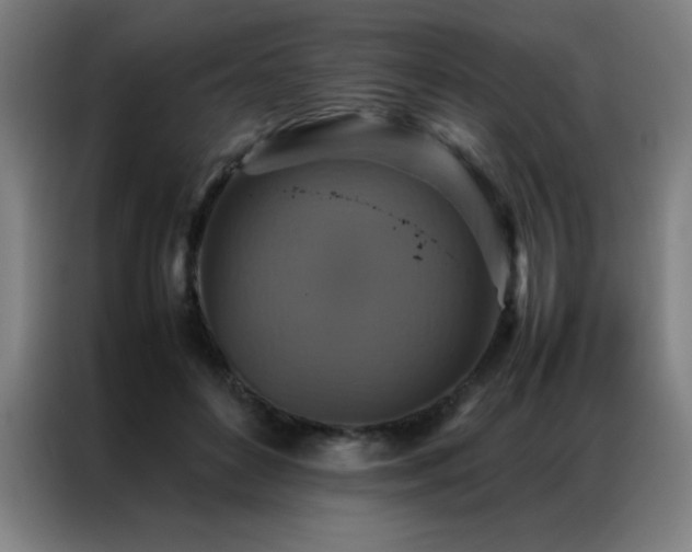 X0000087330504200704201130