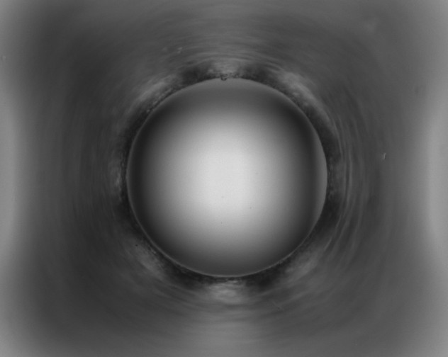 X0000087330505200704201130