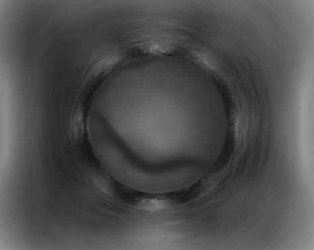 X0000087330506200704201130