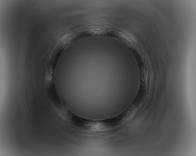 X0000087330507200704201130
