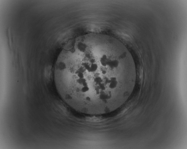 X0000087330511200704201130