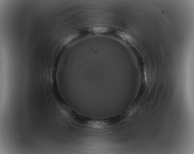 X0000087330512200704201130