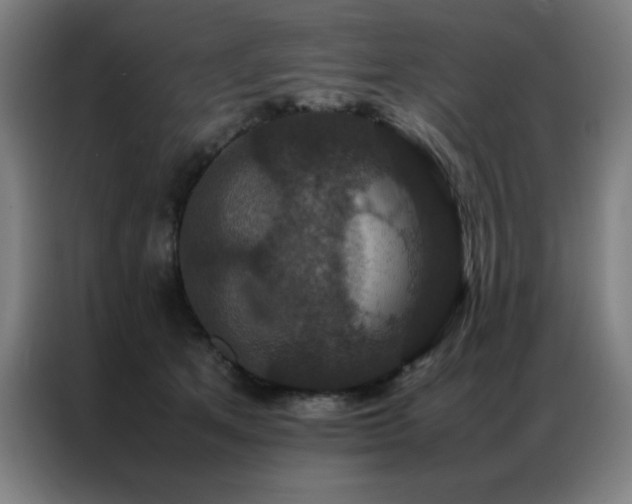 X0000087330513200704201130