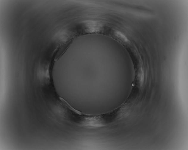X0000087330516200704201130