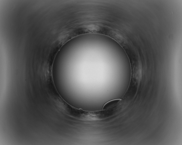 X0000087330518200704201130