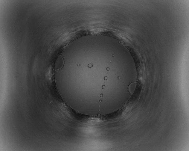 X0000087330519200704201130
