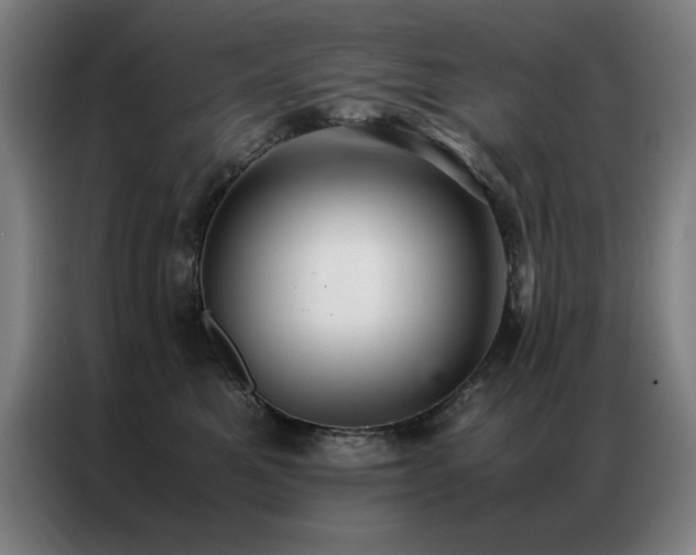 X0000087330521200704201130