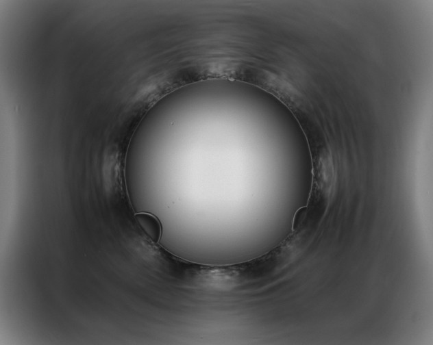 X0000087330522200704201130