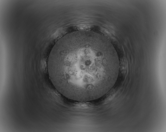 X0000087330523200704201130