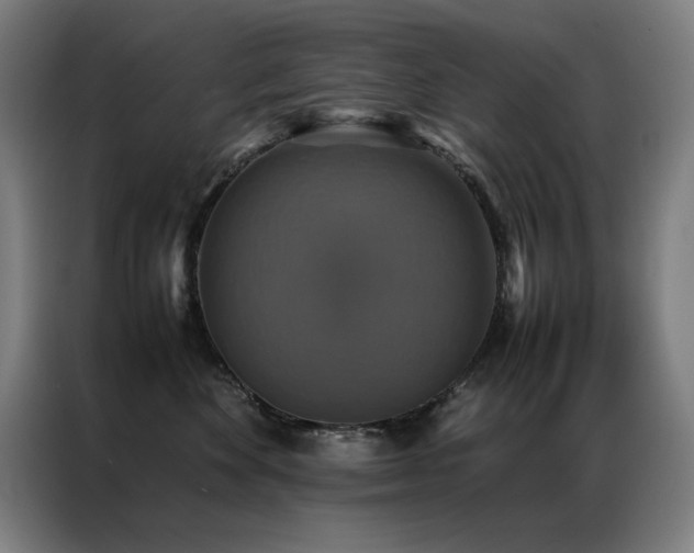 X0000087330524200704201130