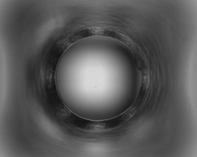 X0000087330525200704201130