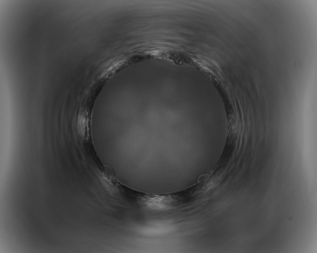 X0000087330527200704201130
