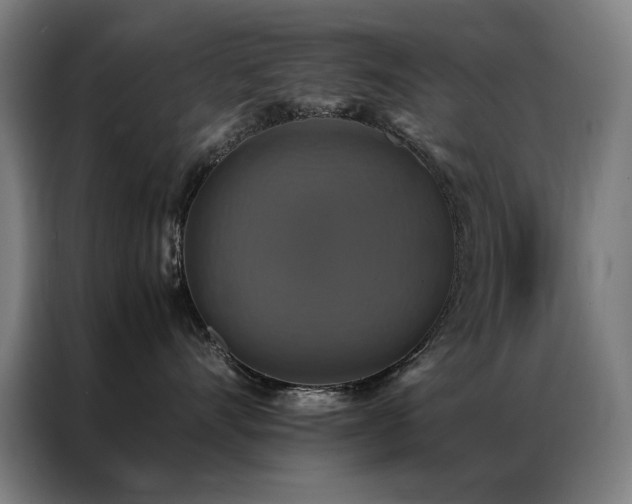X0000087330528200704201130