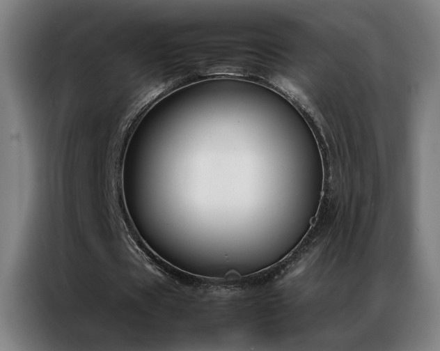 X0000087330529200704201129