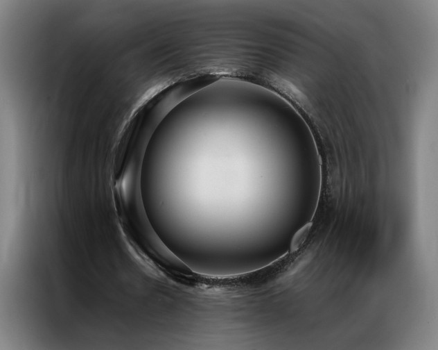 X0000087330530200704201129