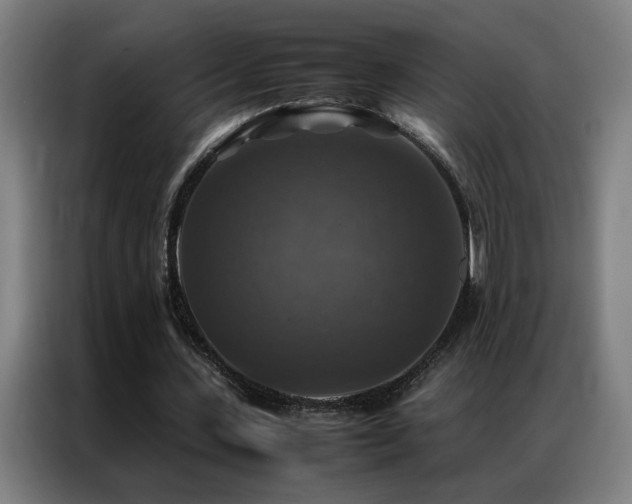 X0000087330531200704201129
