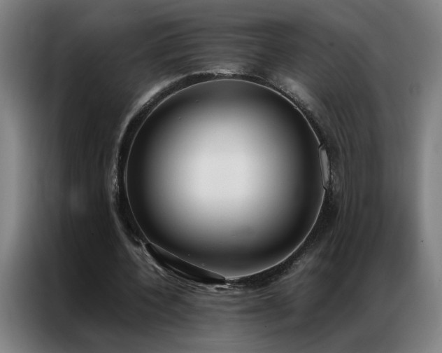 X0000087330532200704201129