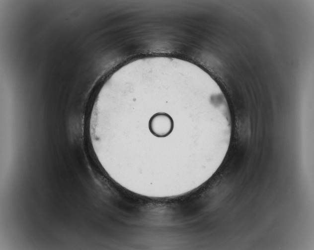 X0000087330534200704201129