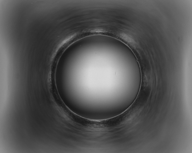 X0000087330535200704201129