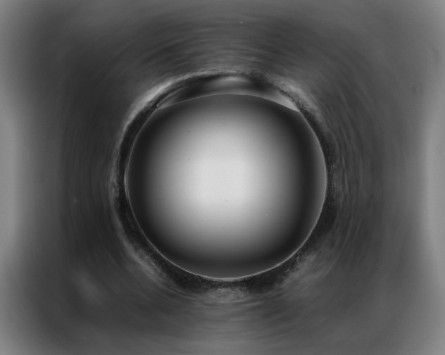 X0000087330536200704201129