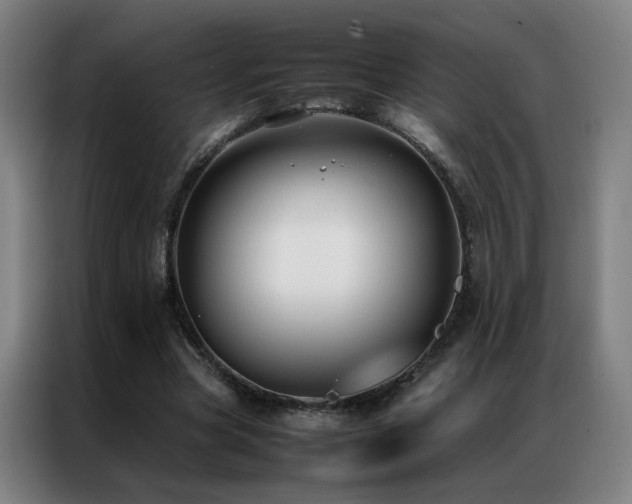 X0000087330537200704201129