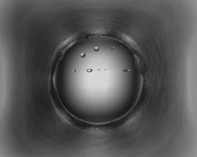 X0000087330538200704201129