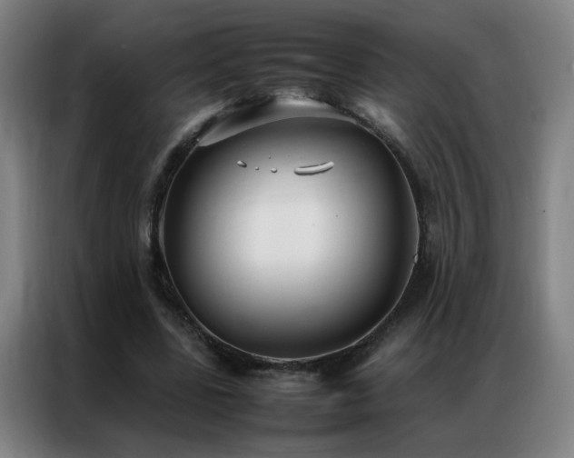X0000087330539200704201129