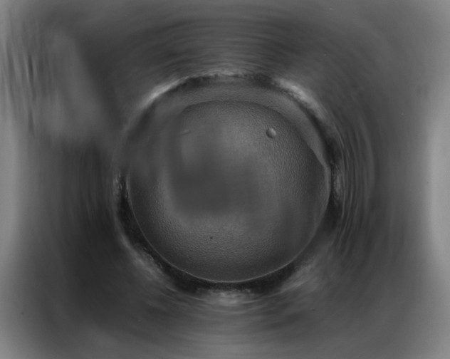 X0000087330540200704201129