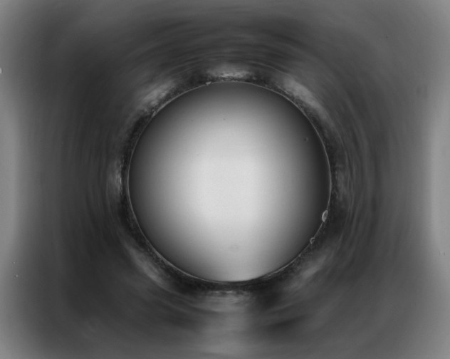 X0000087330541200704201129