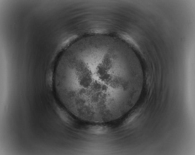X0000087330542200704201129