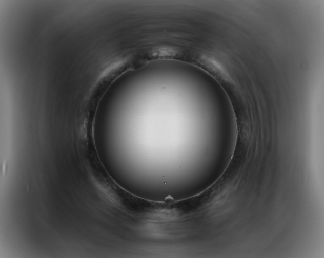 X0000087330543200704201129