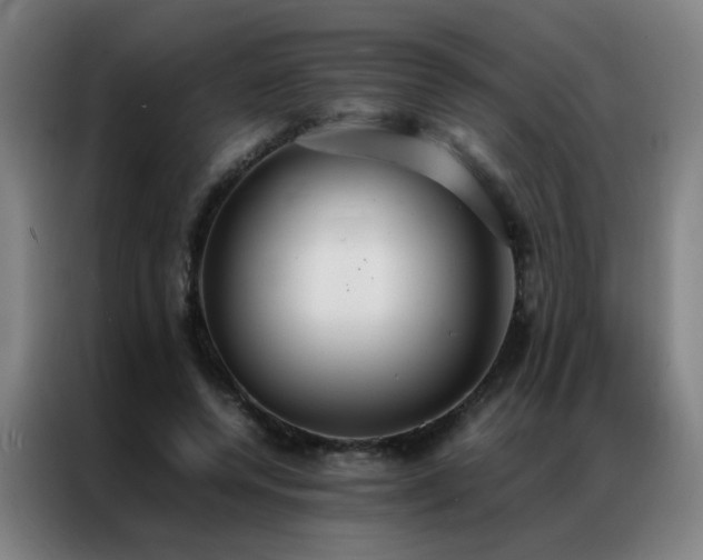 X0000087330544200704201129