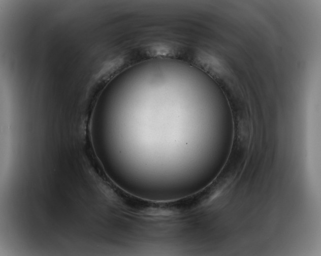 X0000087330545200704201130