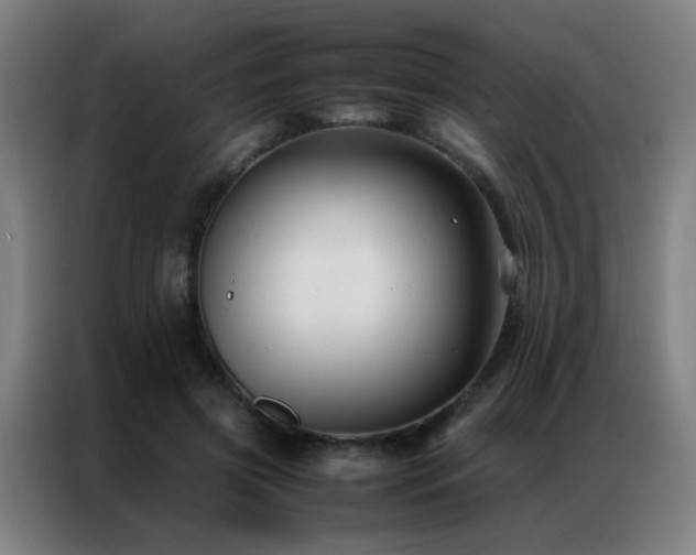 X0000087330549200704201130