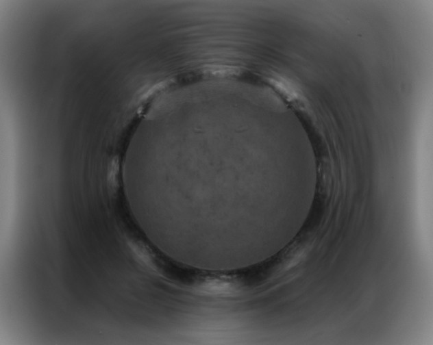 X0000087330550200704201130
