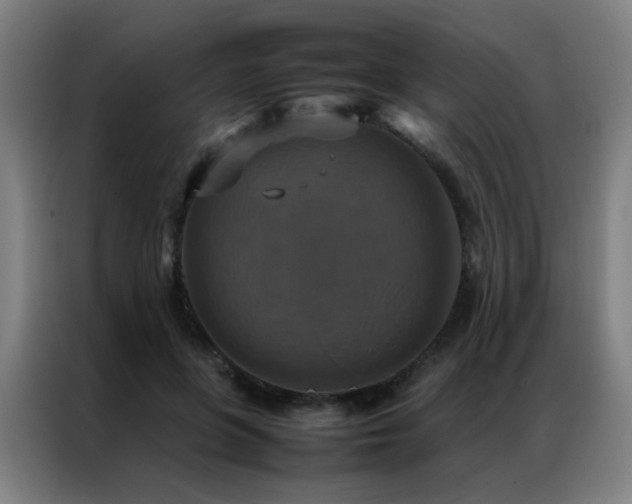 X0000087330551200704201130