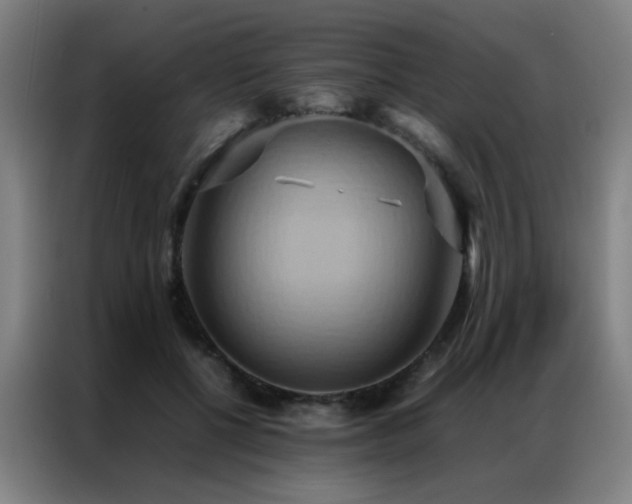 X0000087330552200704201130