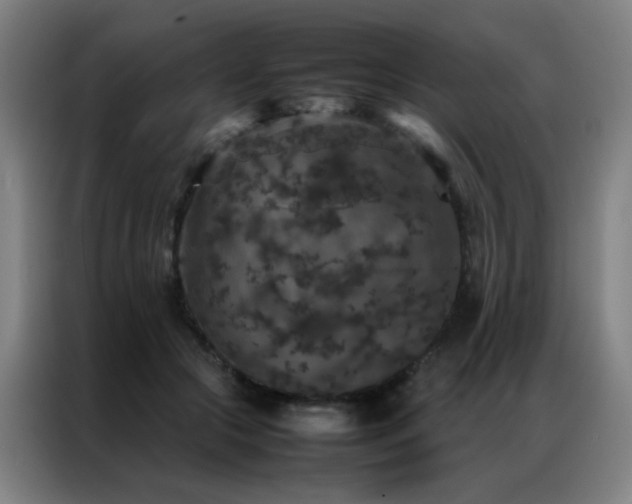 X0000087330553200704201130