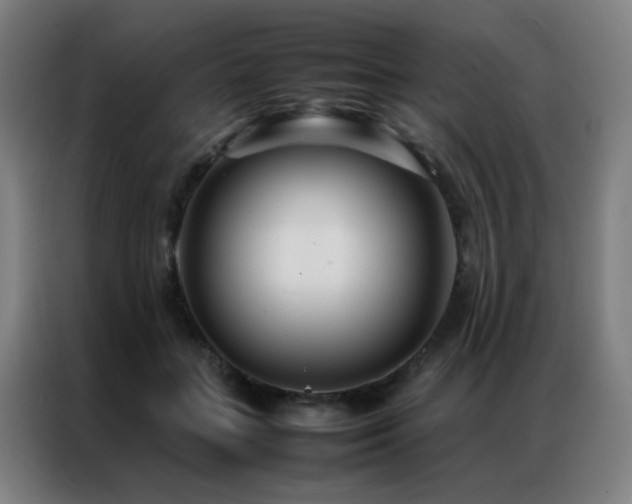 X0000087330555200704201130