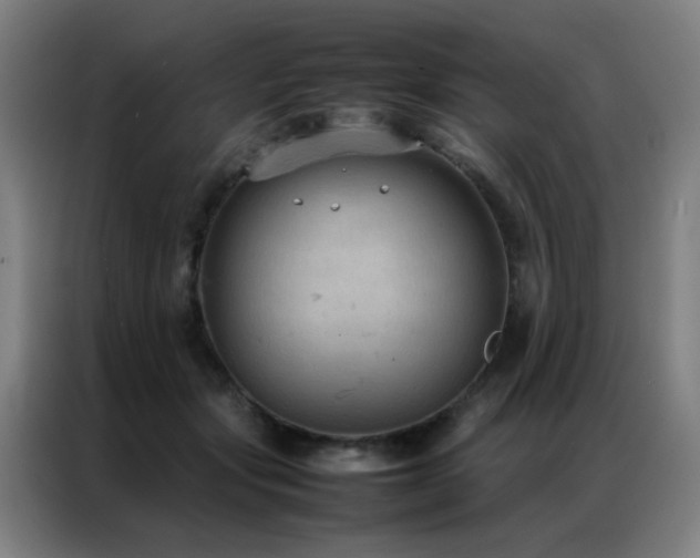 X0000087330557200704201130